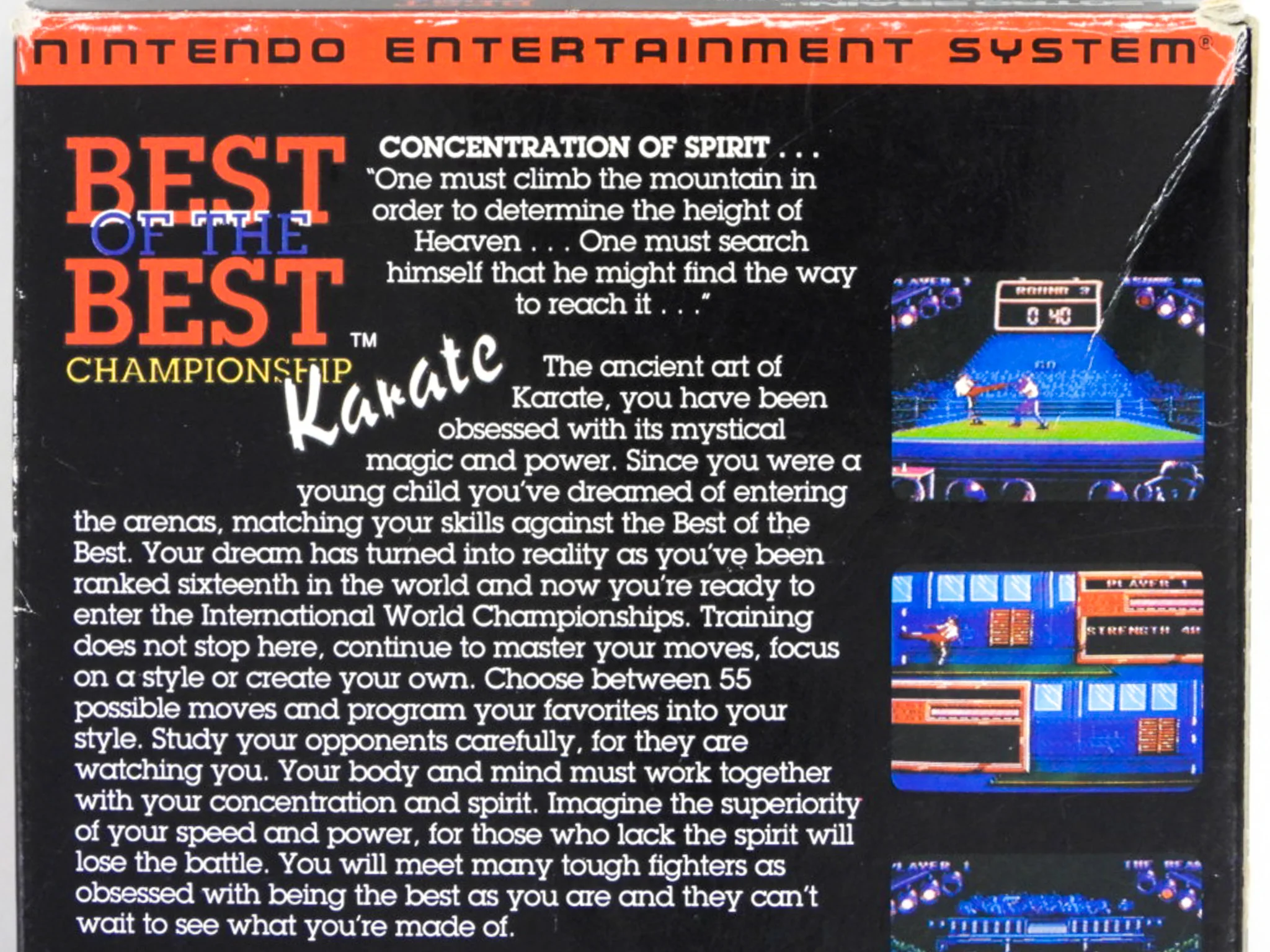 Best Of The Best Championship Karate (Nintendo / NES) - Image 3