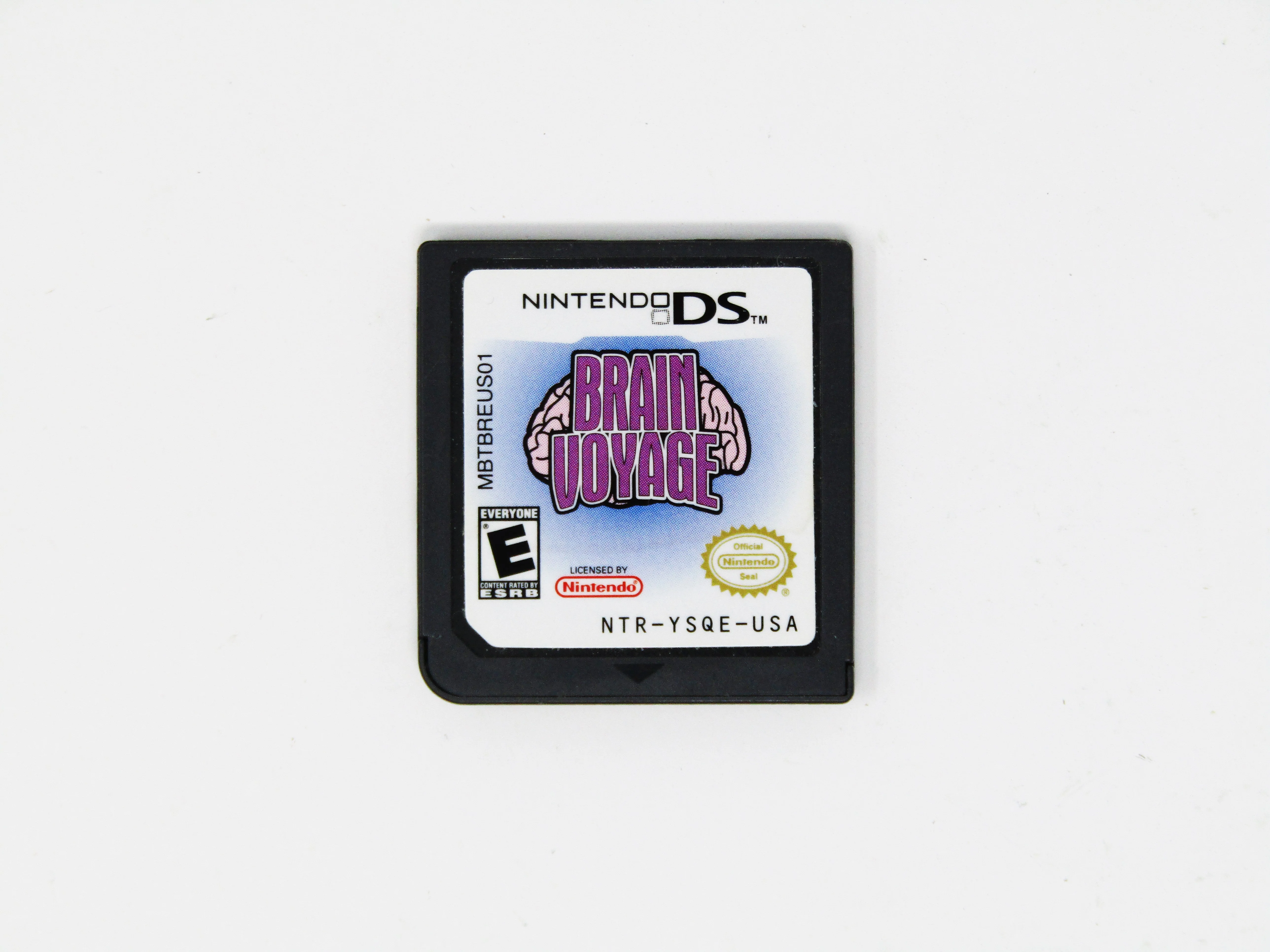 Brain Voyage (Nintendo DS)