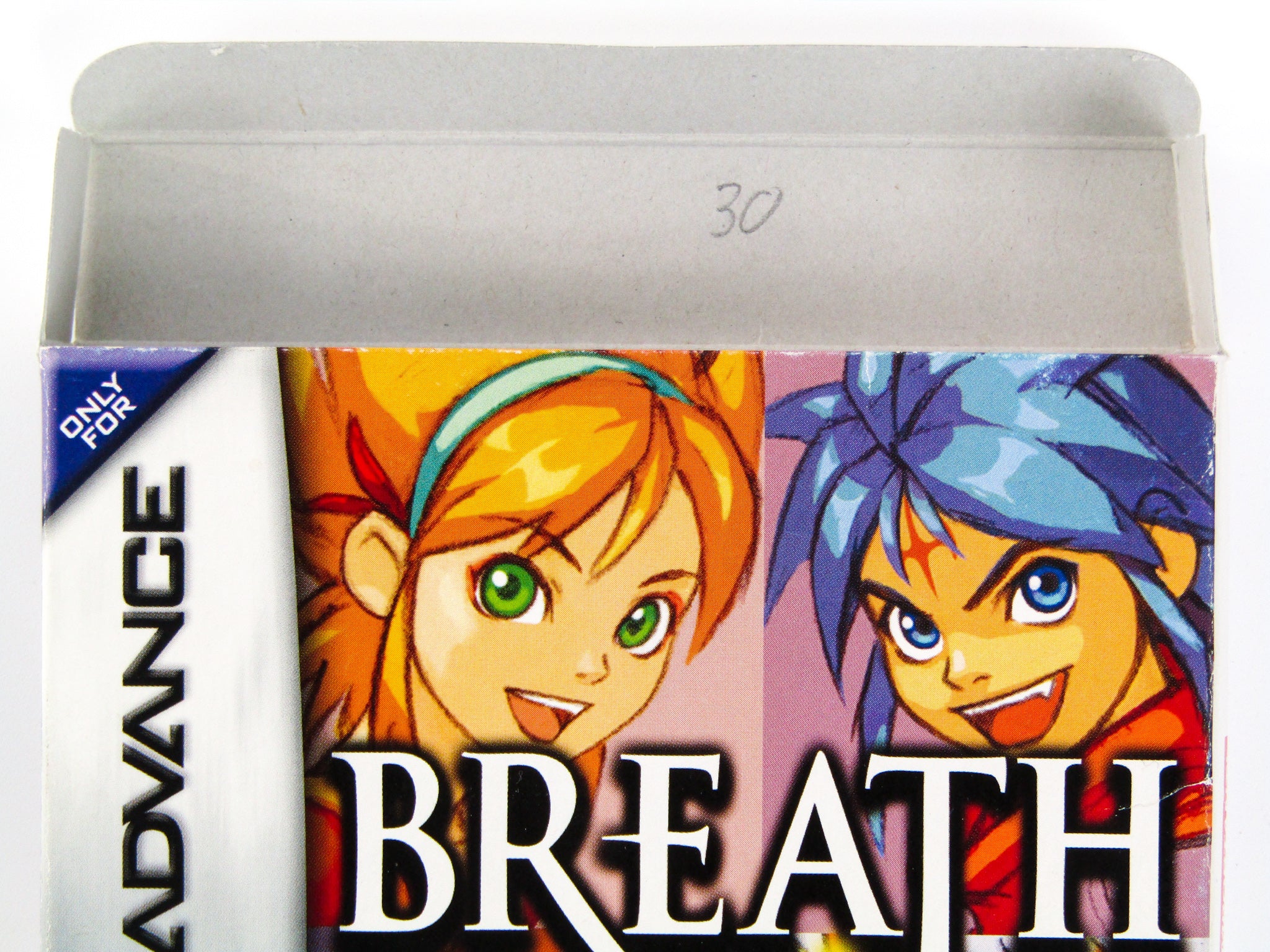 Breath of Fire (Nintendo Game Boy Advance / GBA) - Image 5