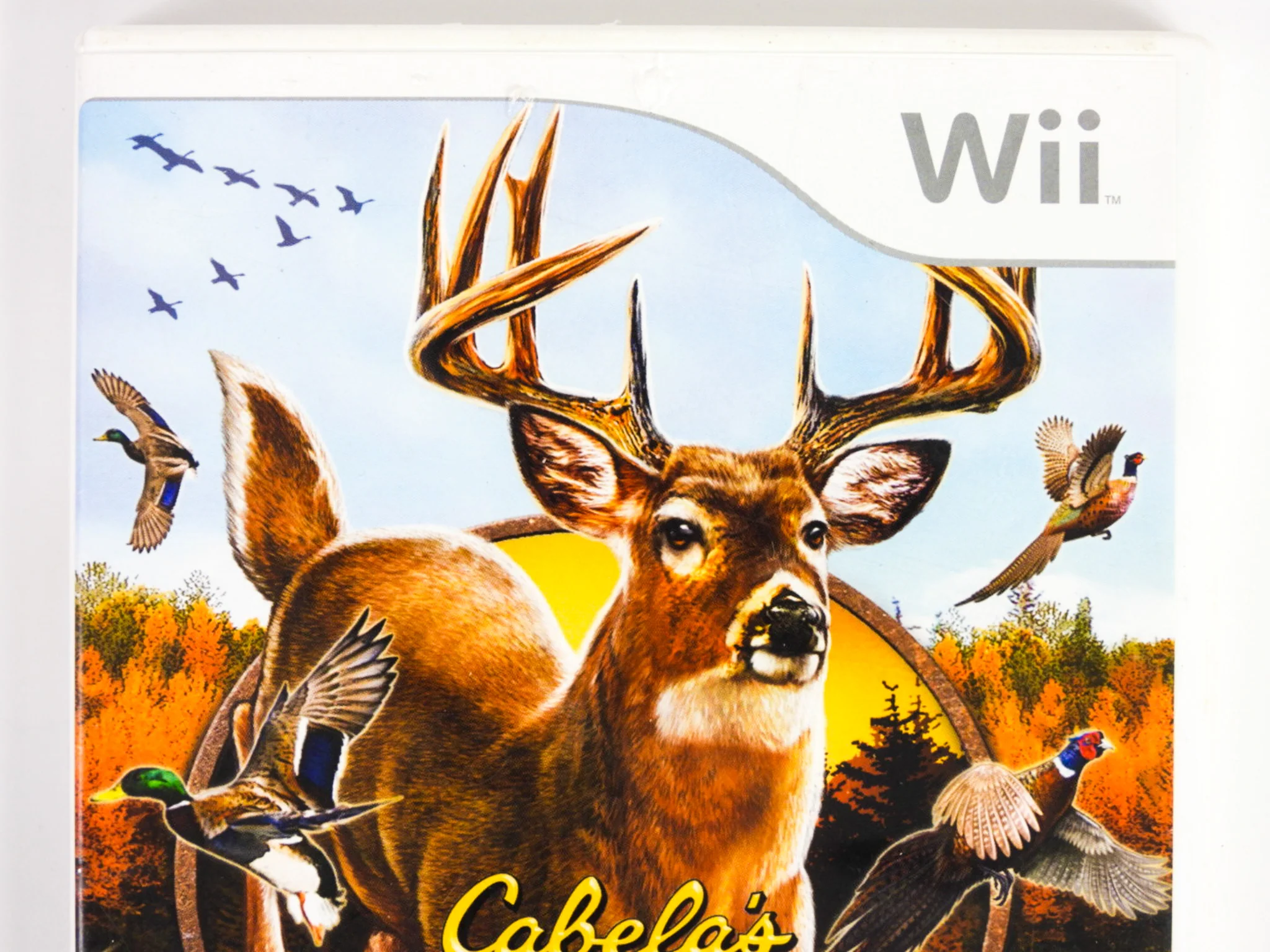 Cabela's Outdoor Adventures 2010 (Nintendo Wii) - Image 3