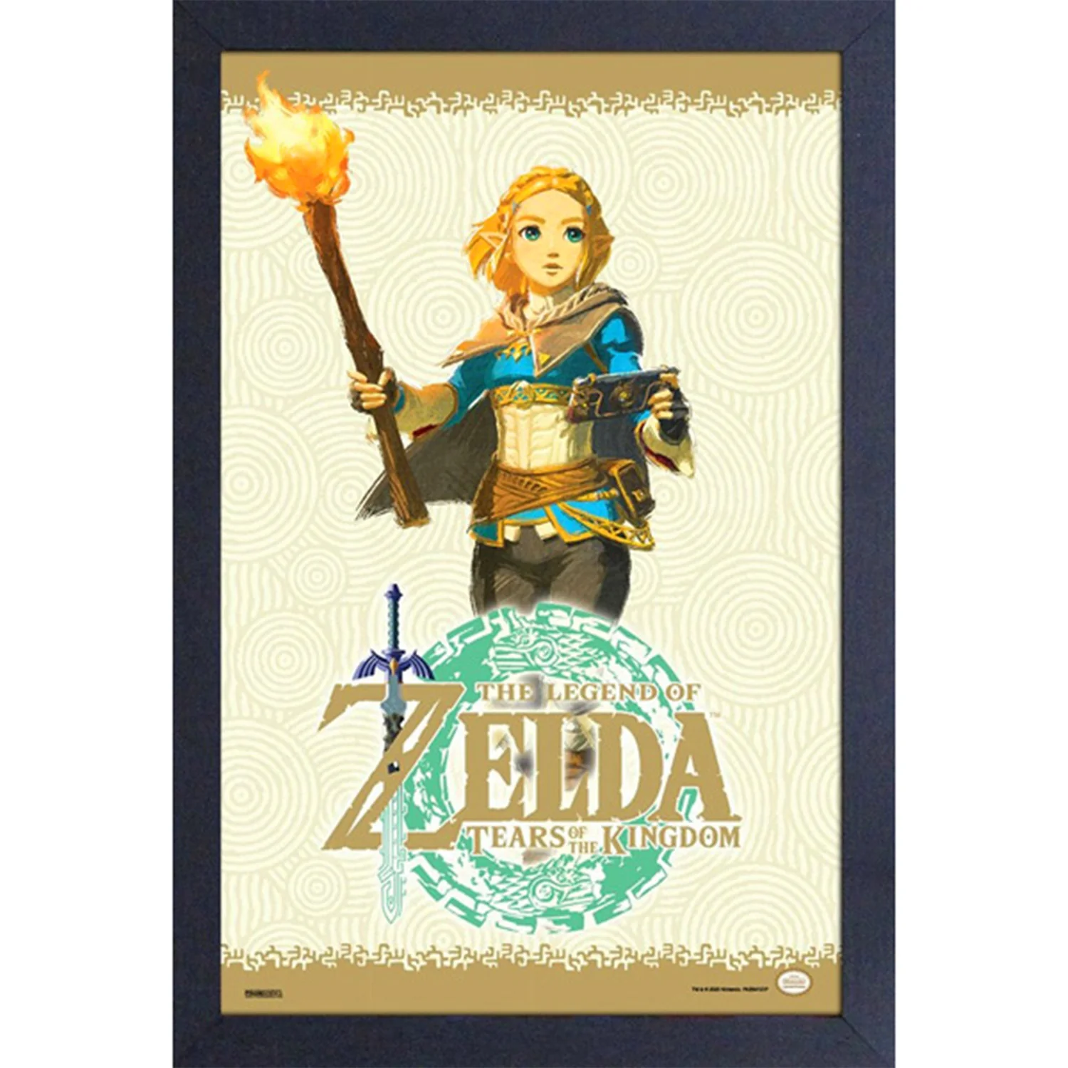 Cadre Legend of Zelda Tears of the Kingdom Zelda à la torche