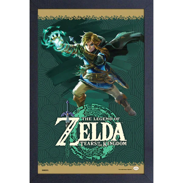 Cadre Zelda Tears Of The Kingdom