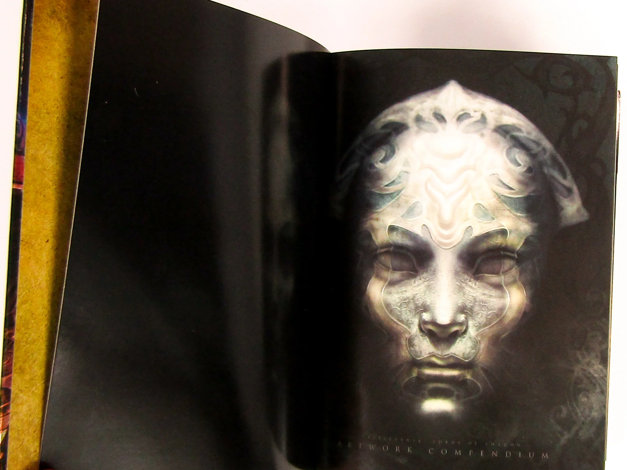 Castlevania: Lords Of Shadow [Limited Edition] (PlayStation 3 / PS3) - Image 4