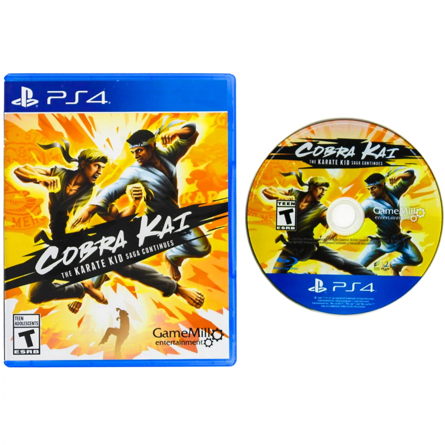 Cobra Kai: The Karate Kid Saga Continues (PlayStation 4 / PS4)