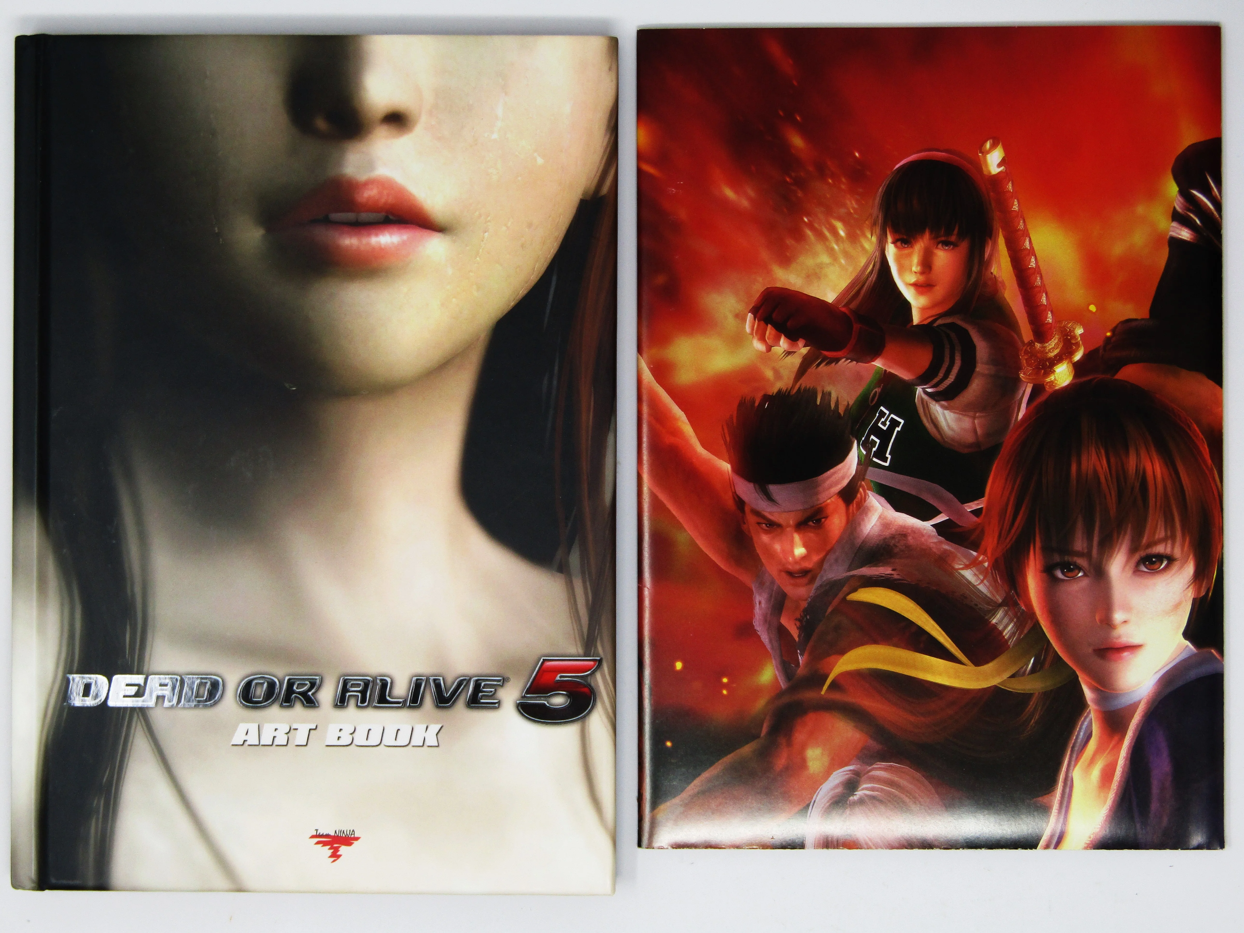 Dead Or Alive 5 [Collector's Edition] (Xbox 360) - Image 2