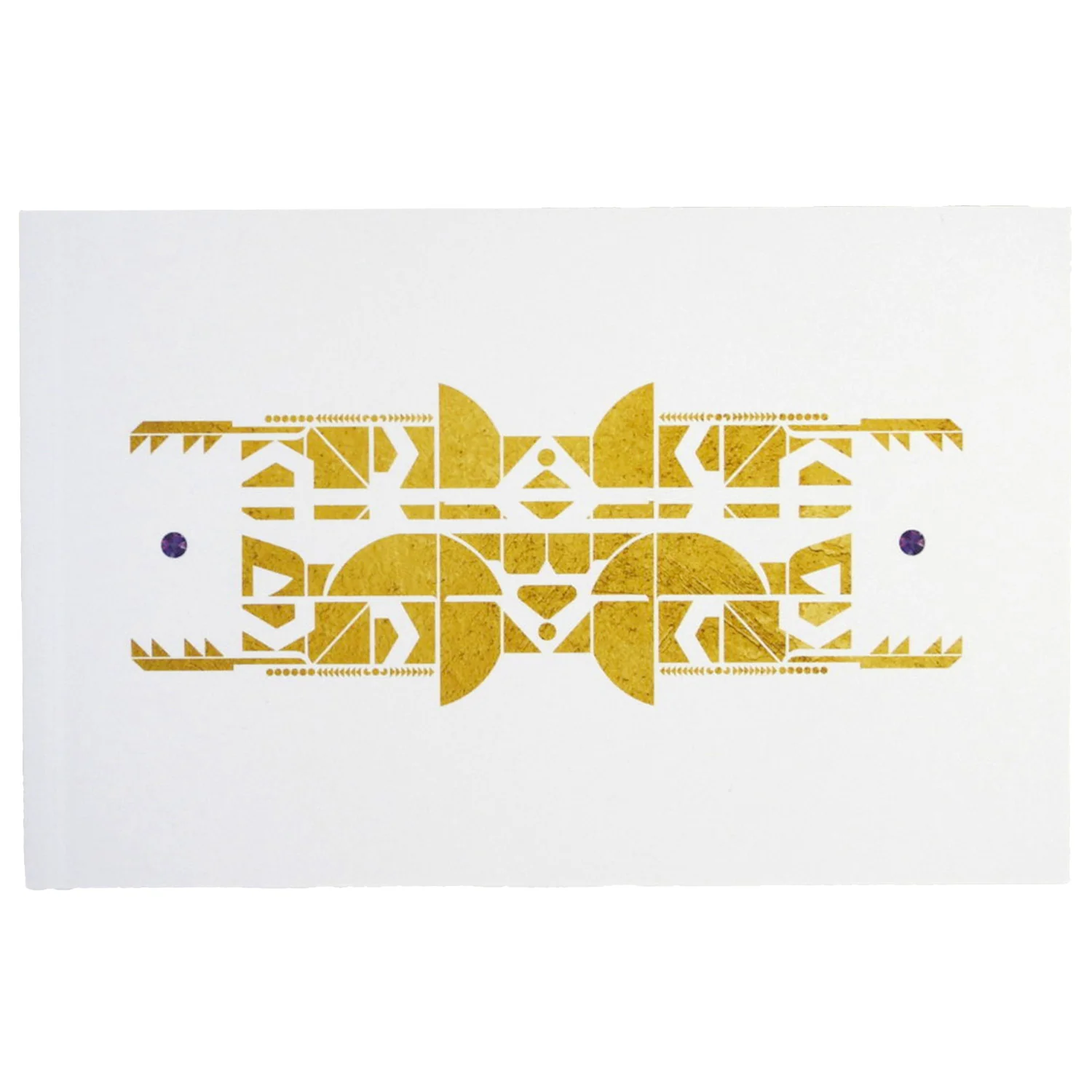 Destiny 2 [Limited Edition] (PlayStation 4 / PS4) - Image 5