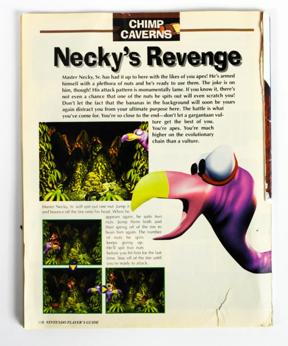 Donkey Kong Country (Game Guide) - Image 4
