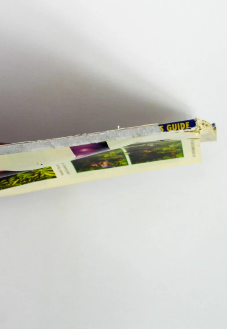Donkey Kong Country (Game Guide) - Image 5