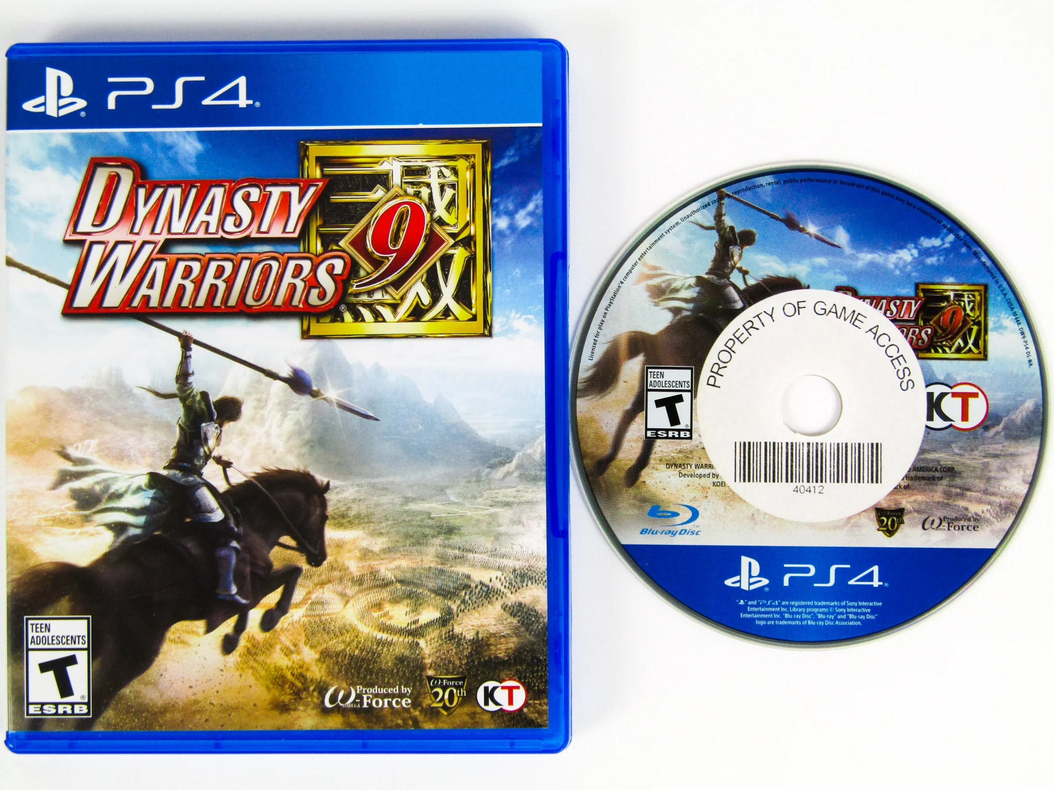 Dynasty Warriors 9 (PlayStation 4 / PS4) - Image 2