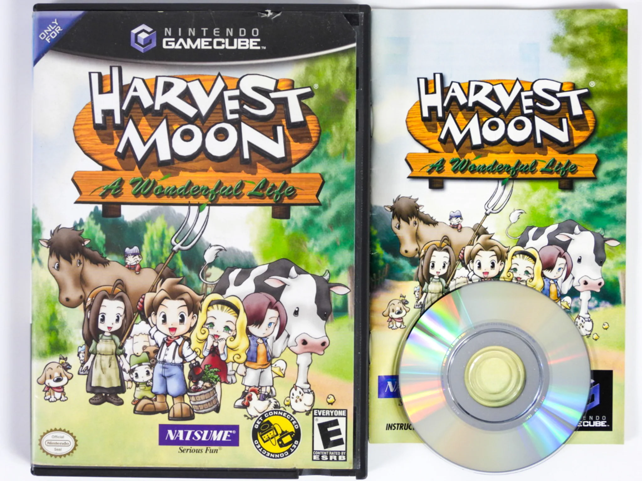 Harvest Moon: A Wonderful Life (Nintendo GameCube) - Image 2