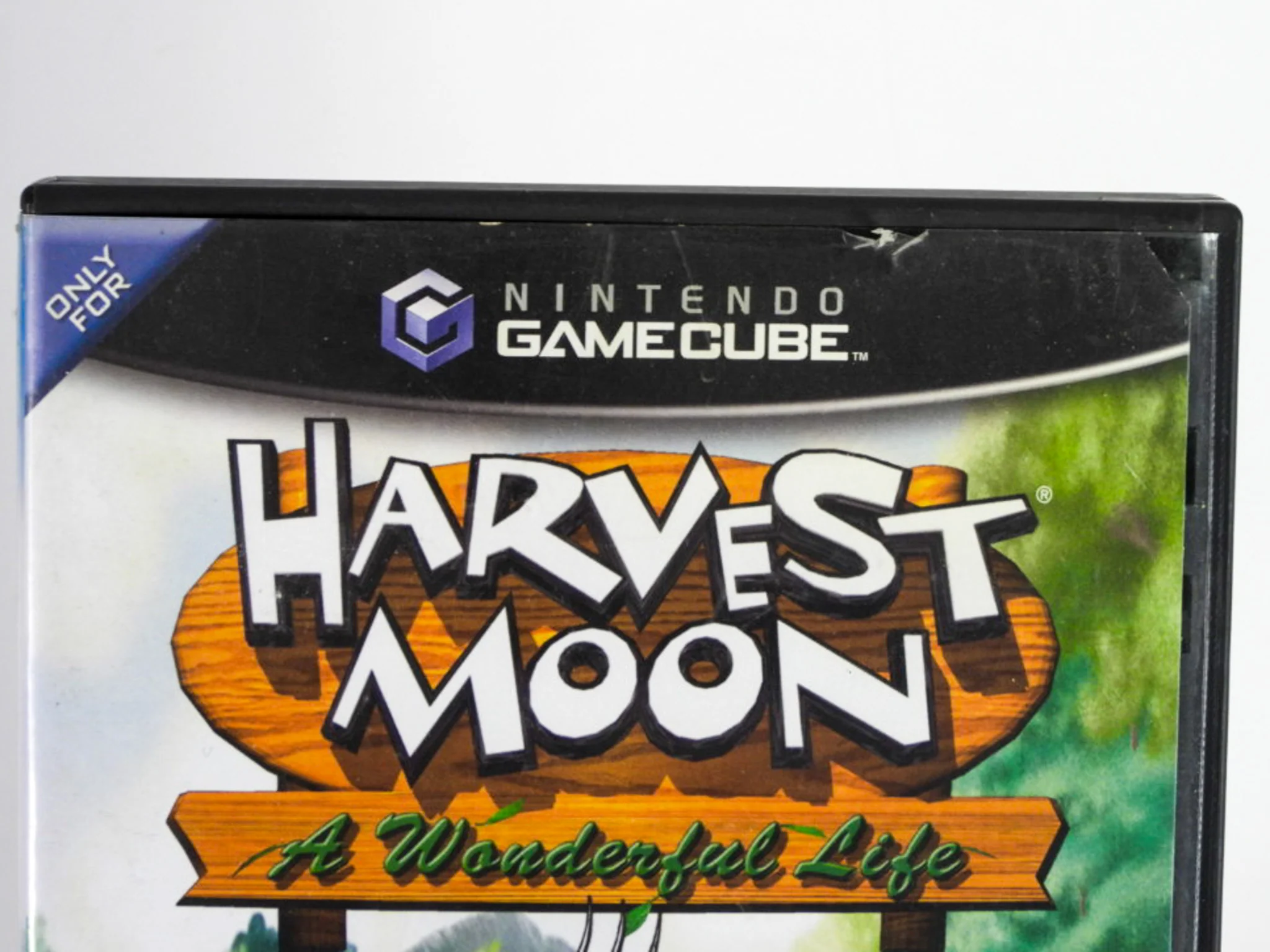 Harvest Moon: A Wonderful Life (Nintendo GameCube) - Image 3