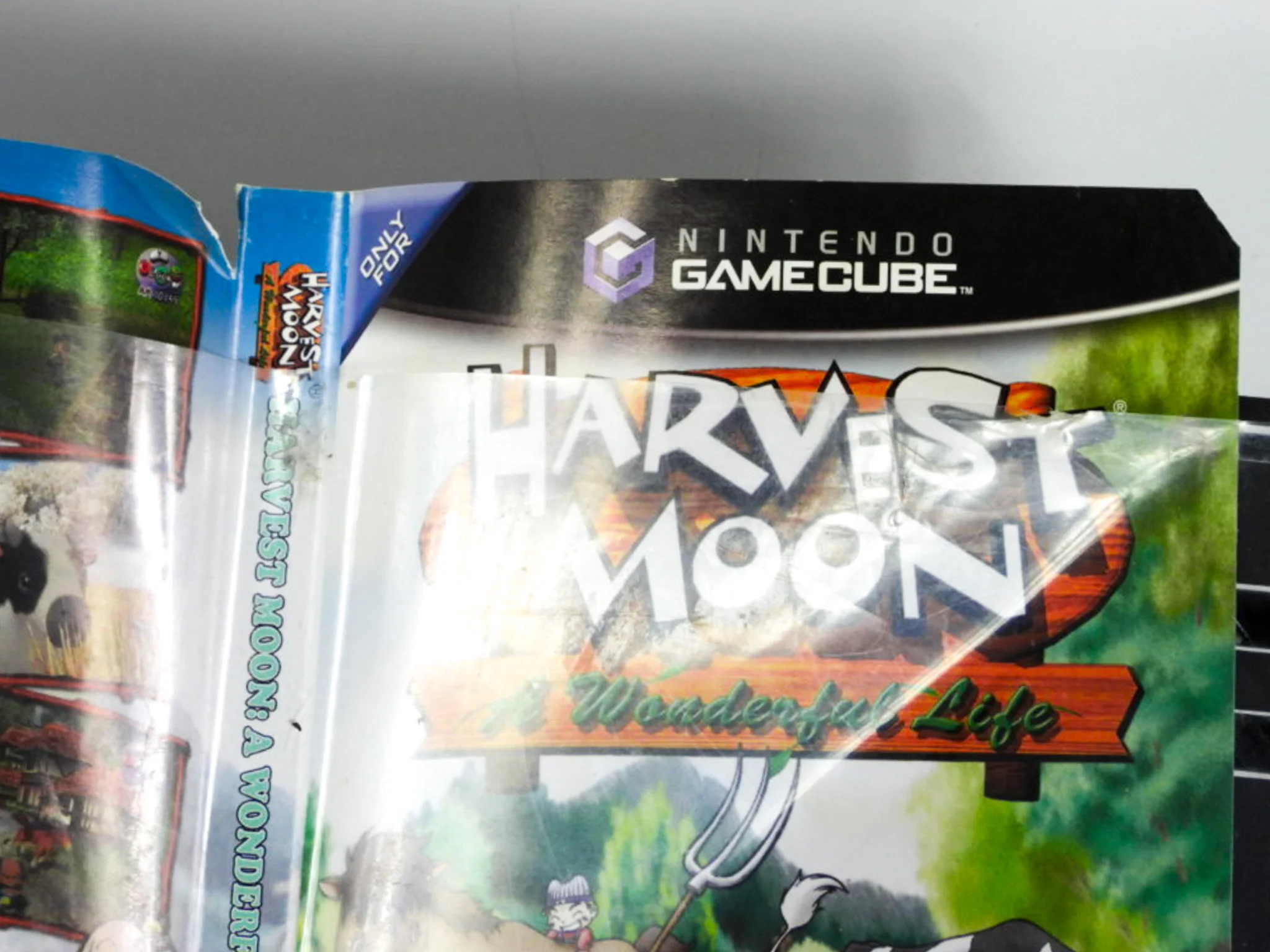 Harvest Moon: A Wonderful Life (Nintendo GameCube) - Image 4