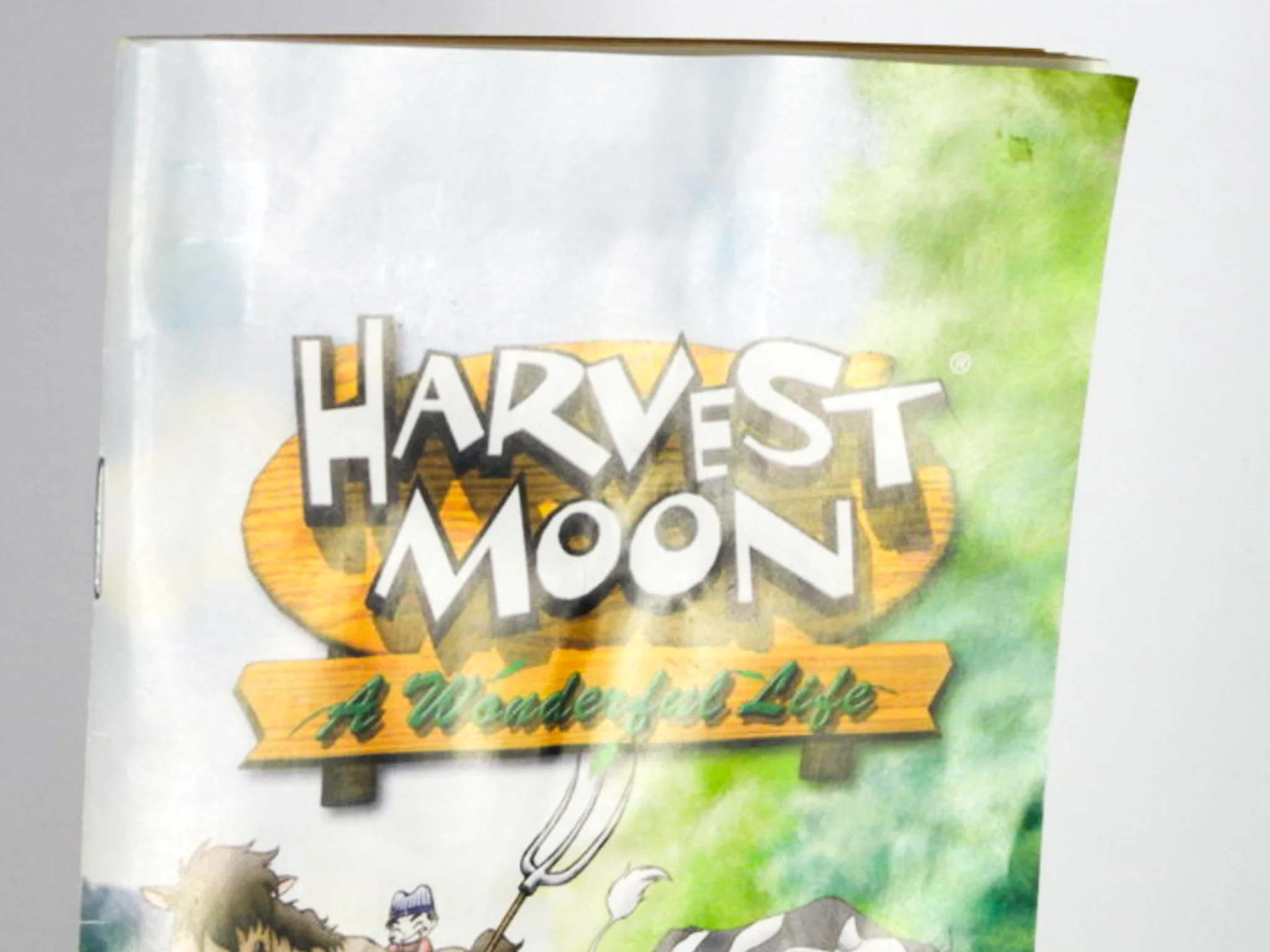 Harvest Moon: A Wonderful Life (Nintendo GameCube) - Image 5