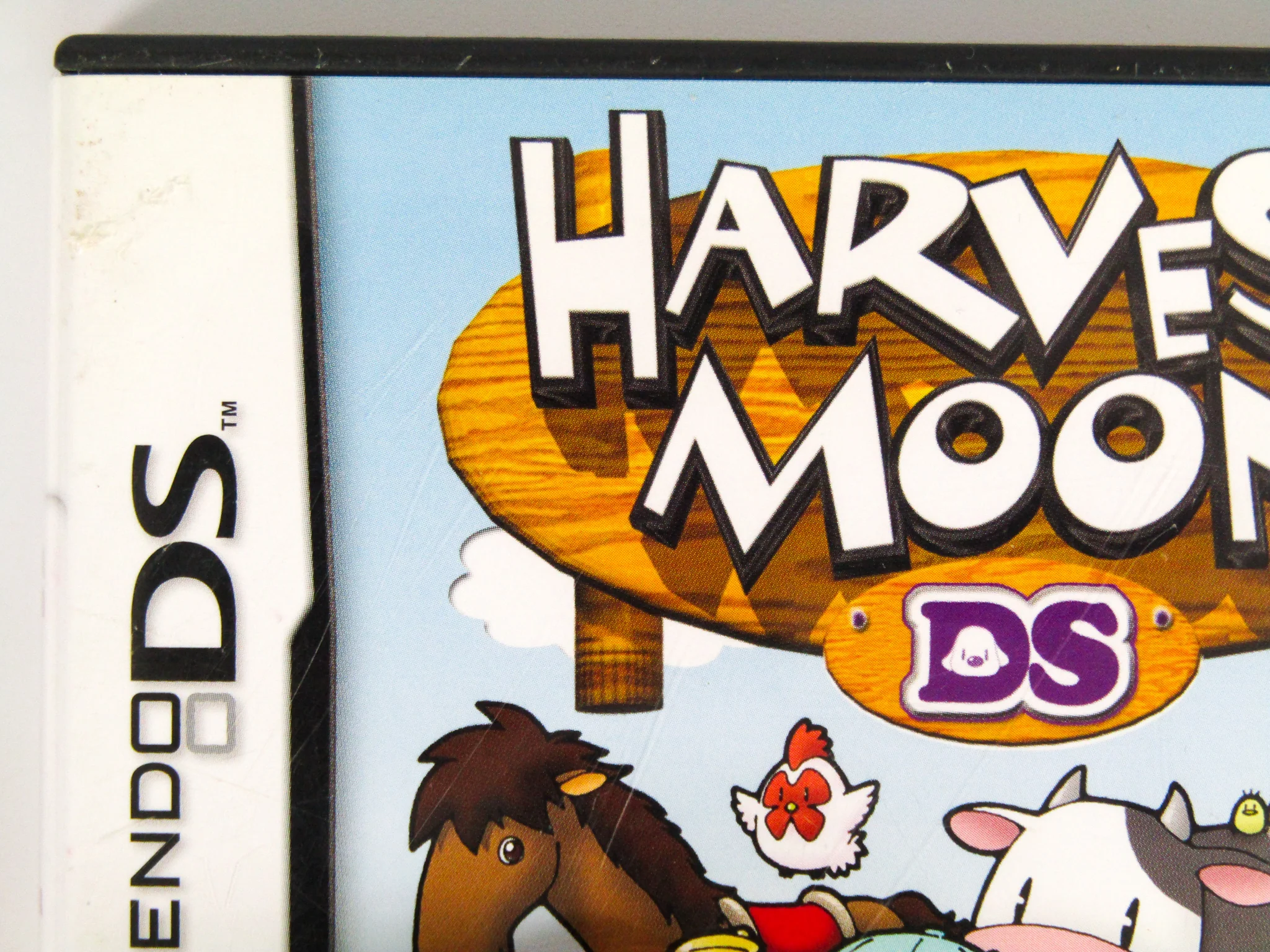 Harvest Moon DS (Nintendo DS) - Image 3