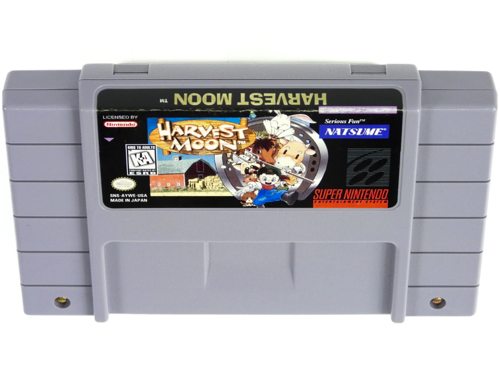 Harvest Moon (Super Nintendo / SNES) - Image 3