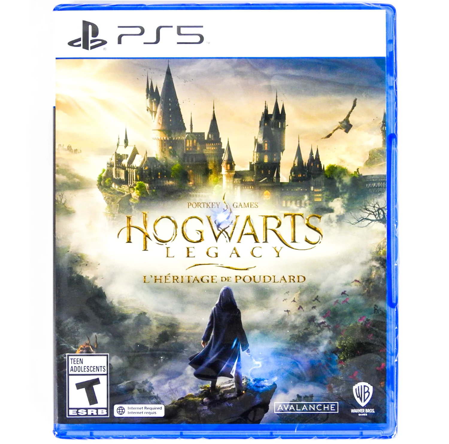 Hogwarts Legacy (PlayStation 5 / PS5)