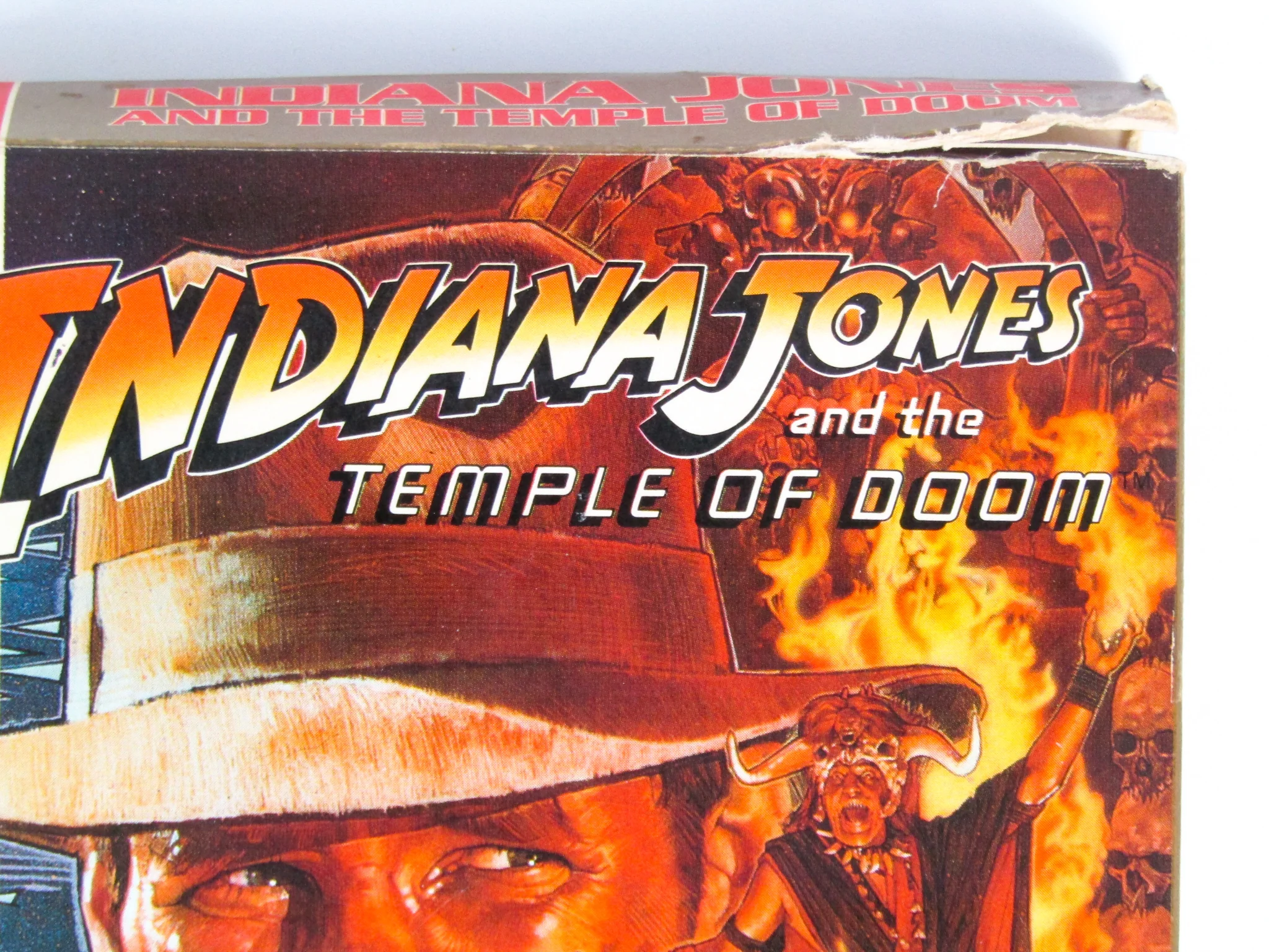 Indiana Jones And The Temple Of Doom [Tengen] (Nintendo / NES) - Image 2