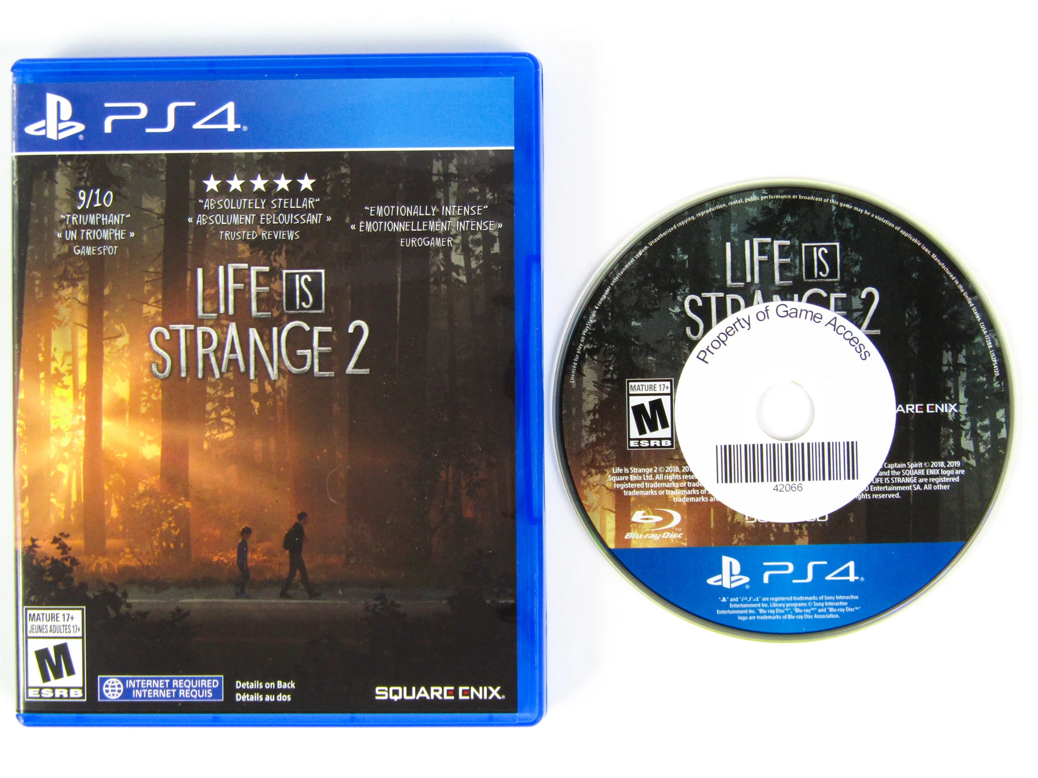 Life Is Strange 2 (PlayStation 4 / PS4) - Image 2