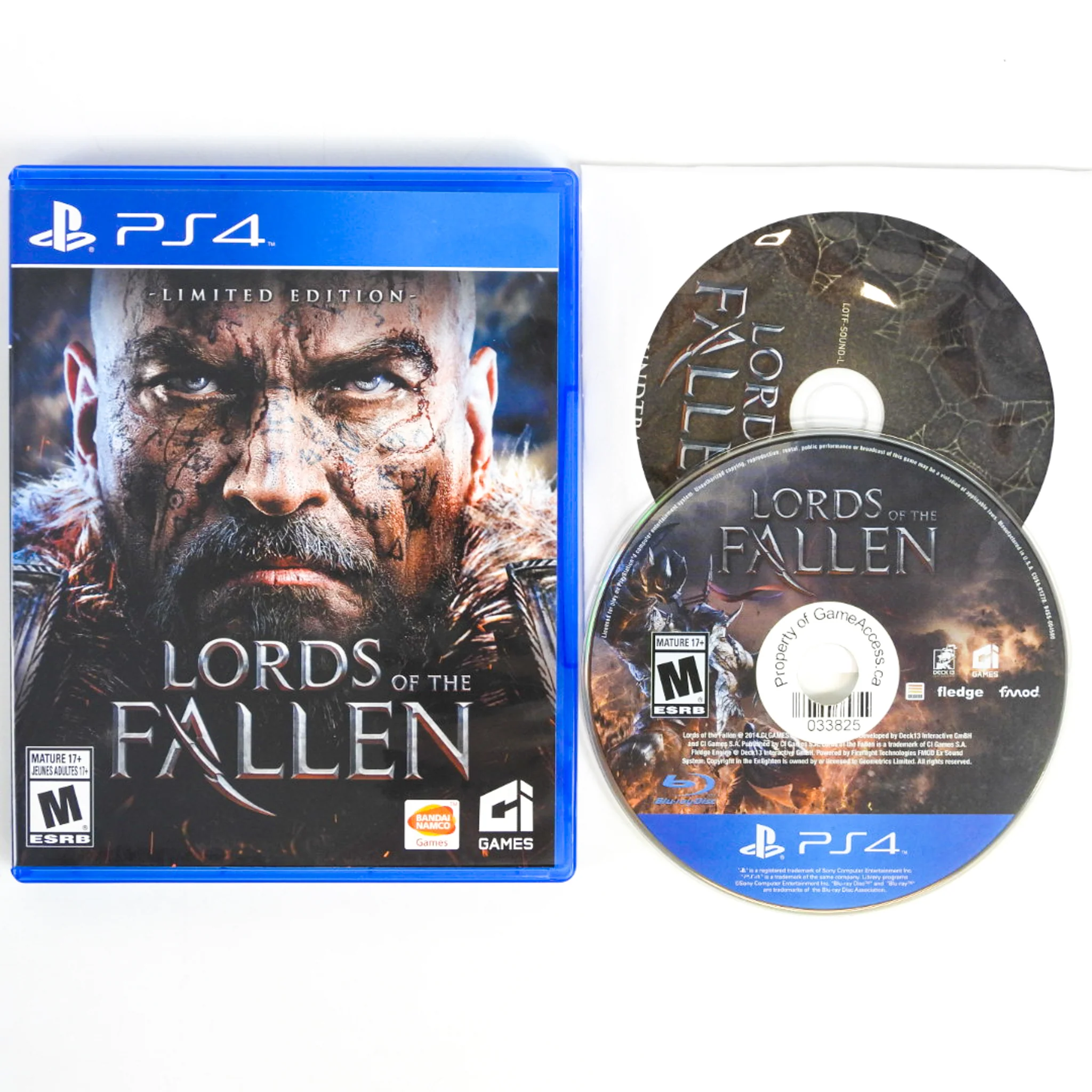 Lords Of The Fallen [Limited Edition] (PlayStation 4 / PS4) - Image 3