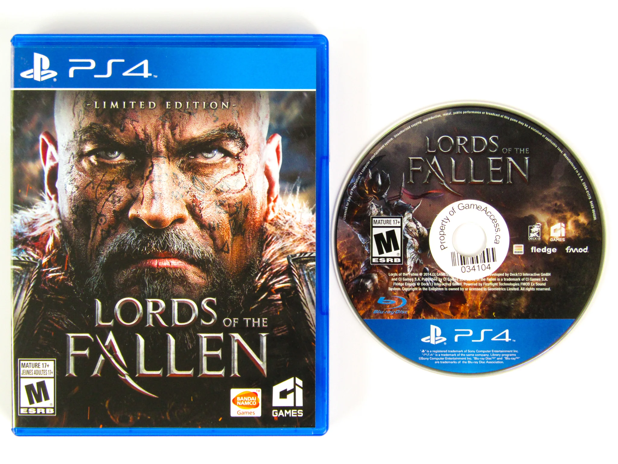 Lords Of The Fallen [Limited Edition] (PlayStation 4 / PS4) - Image 5
