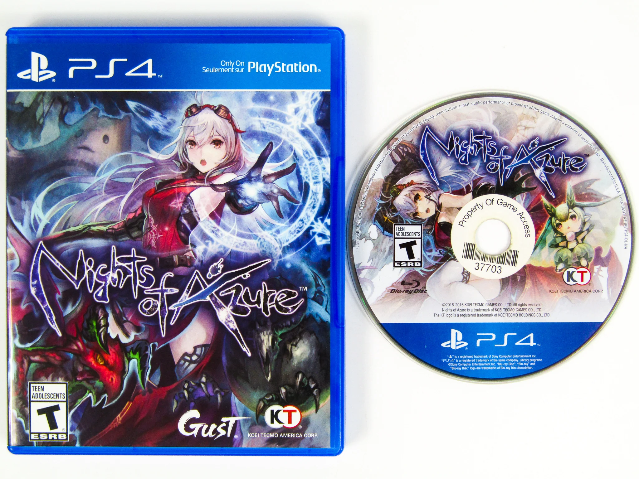 Nights Of Azure (PlayStation 4 / PS4) - Image 2