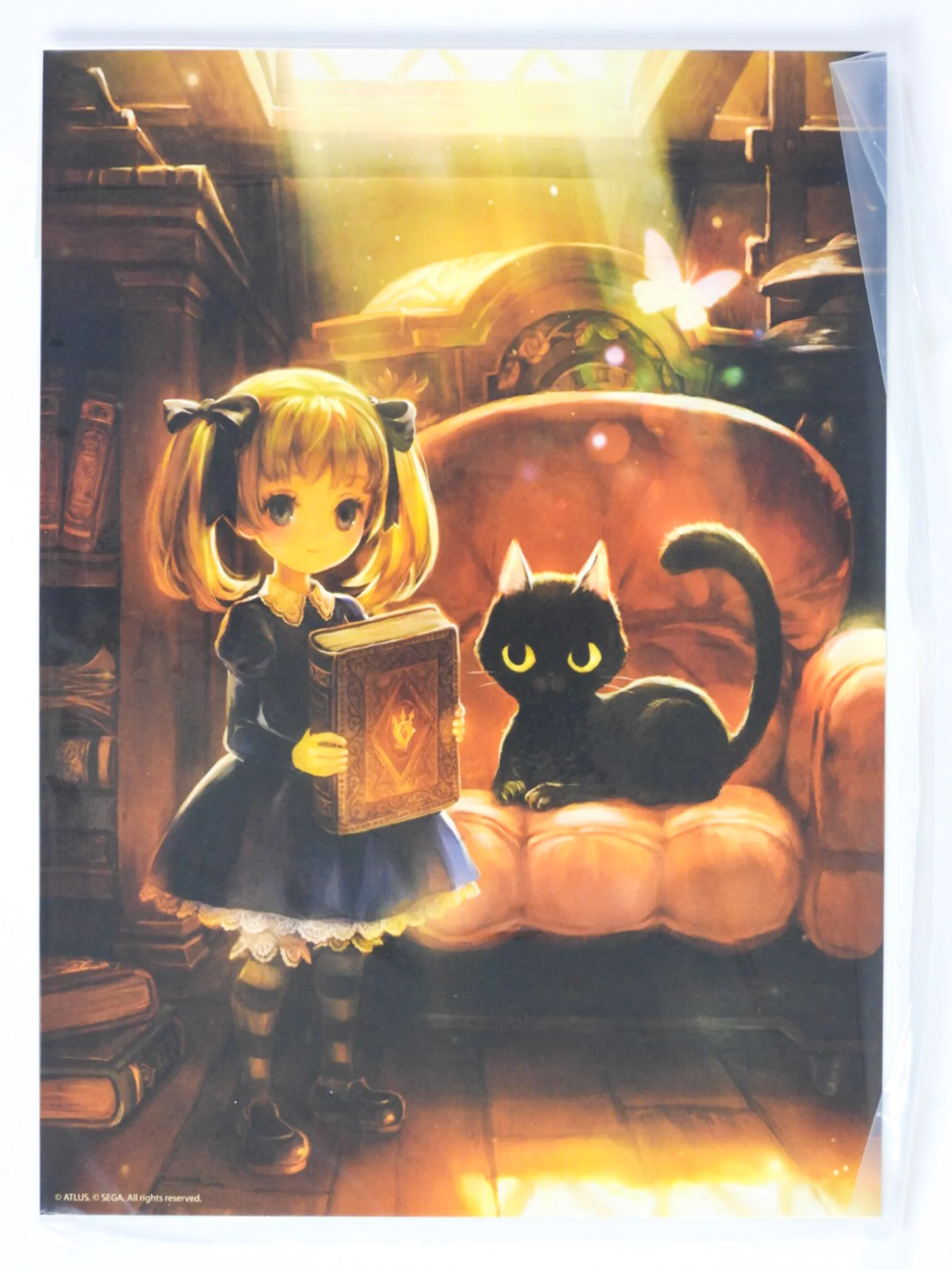 Odin Sphere Leifthrasir [Storybook Edition] (PlayStation 4 / PS4) - Image 7
