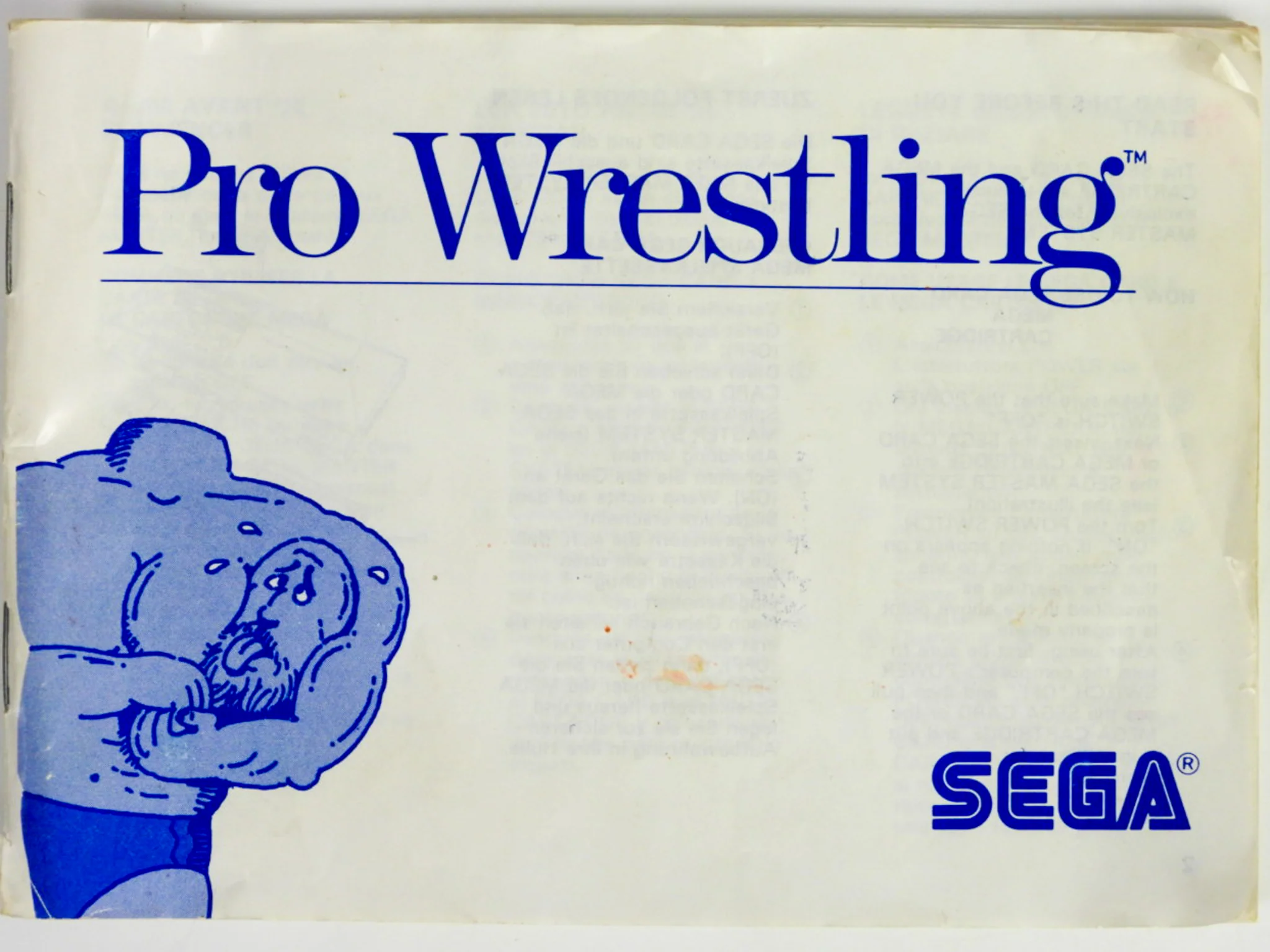 Pro Wrestling [PAL] (Sega Master System) - Image 4