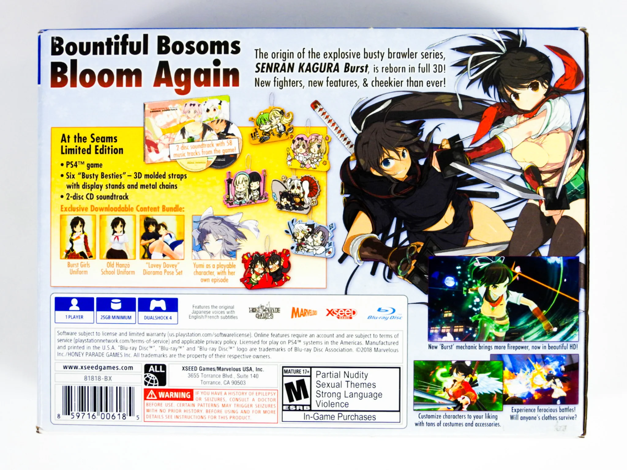 Senran Kagura Burst Re:Newal [At The Seams Edition] (PlayStation 4 / PS4) - Image 2