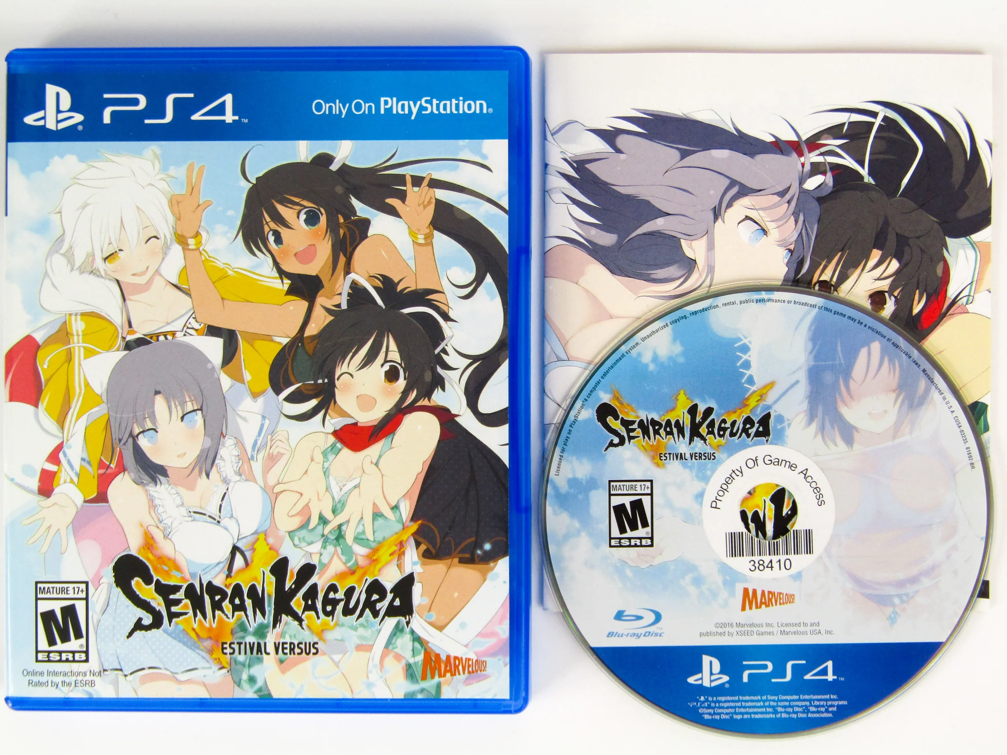 Senran Kagura Estival Versus Endless Summer Edition (PlayStation 4 / PS4) - Image 3