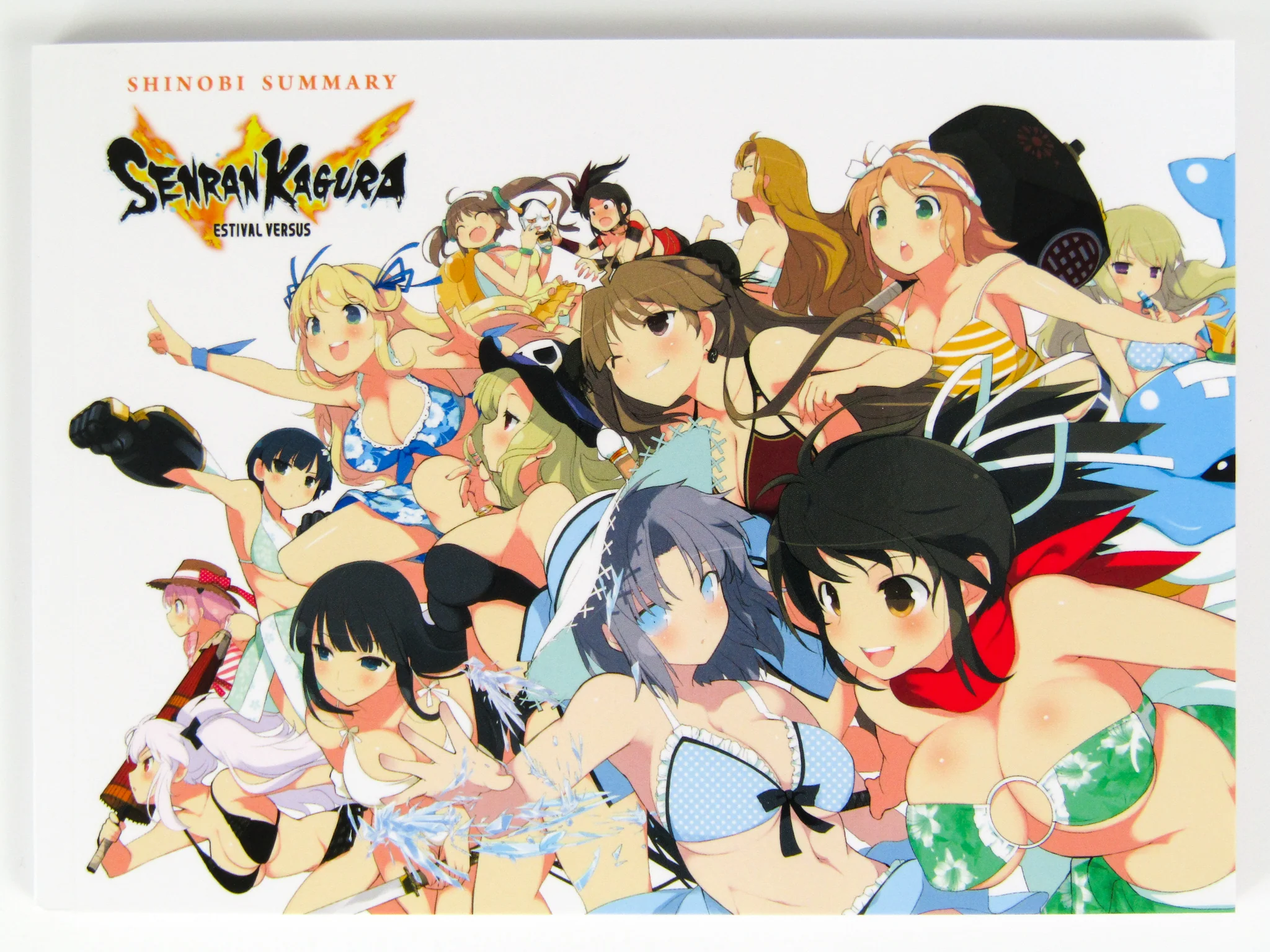 Senran Kagura Estival Versus Endless Summer Edition (PlayStation 4 / PS4) - Image 5