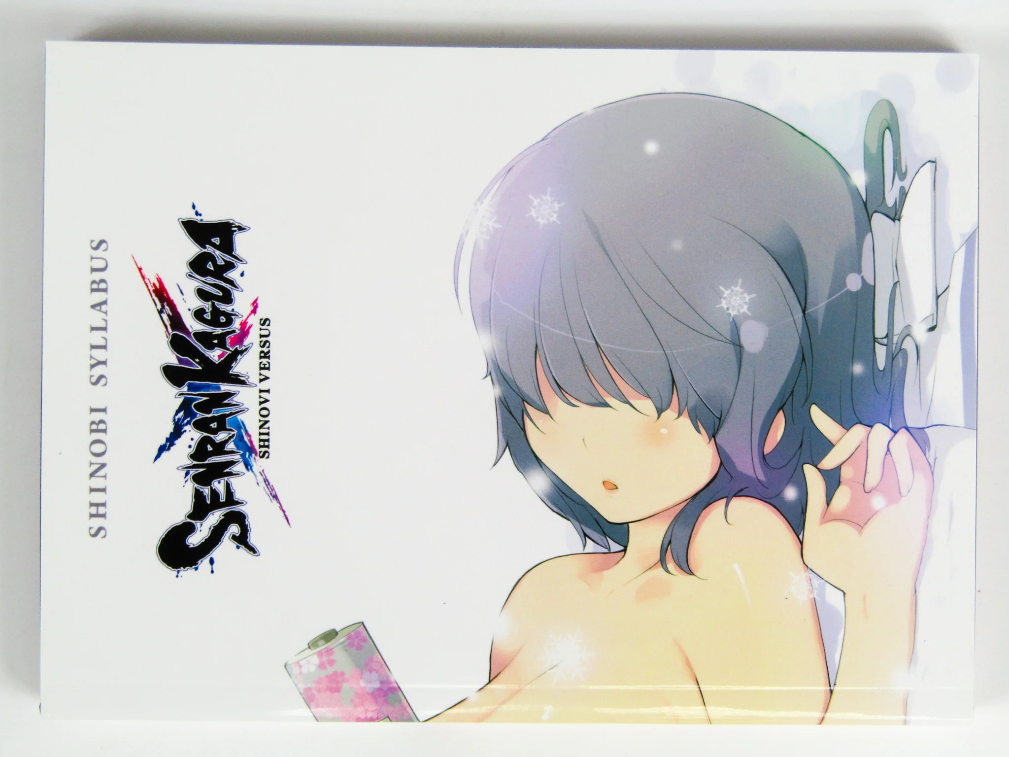 Senran Kagura Shinovi Versus: Let's Get Physical Edition (PlayStation Vita / PS Vita) - Image 11