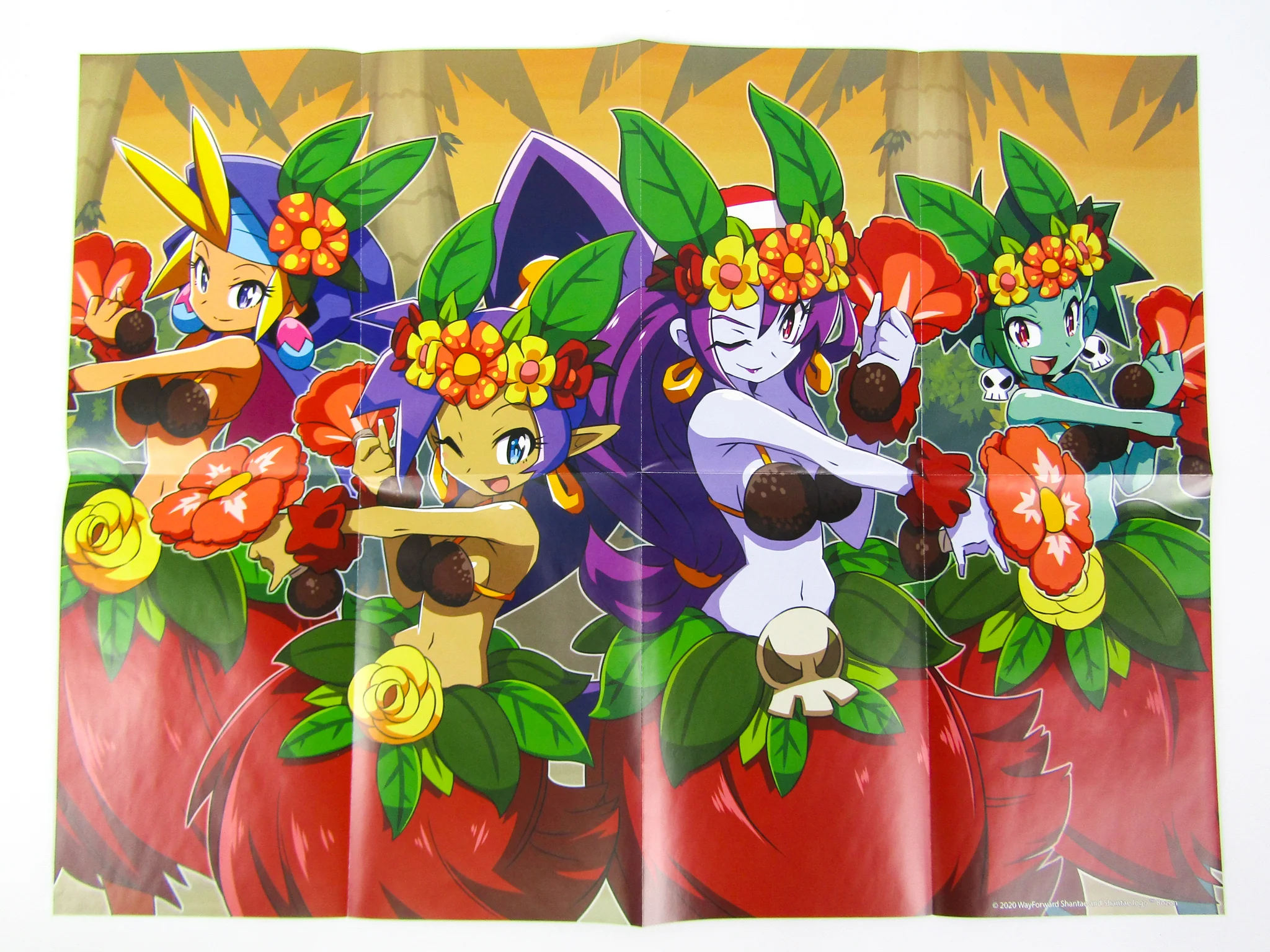 Shantae And The Seven Sirens [Collector's Edition] [Limited Run Games] (PlayStation 4 / PS4) - Image 7