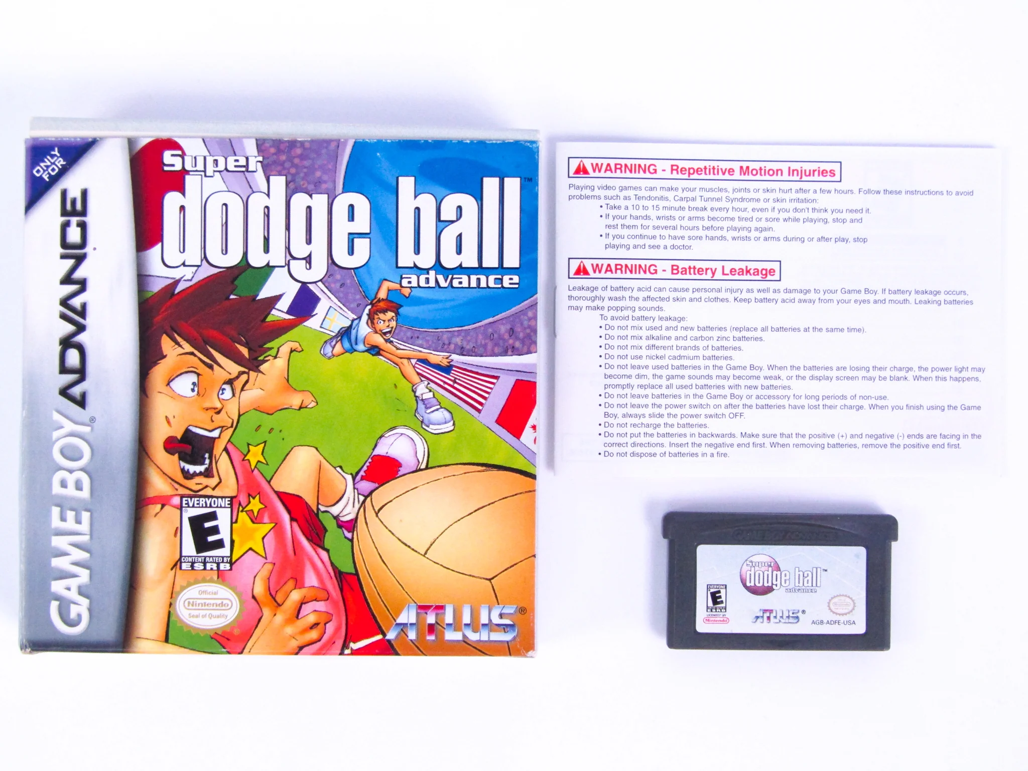 Super Dodge Ball Advance (Nintendo Game Boy Advance / GBA) - Image 2