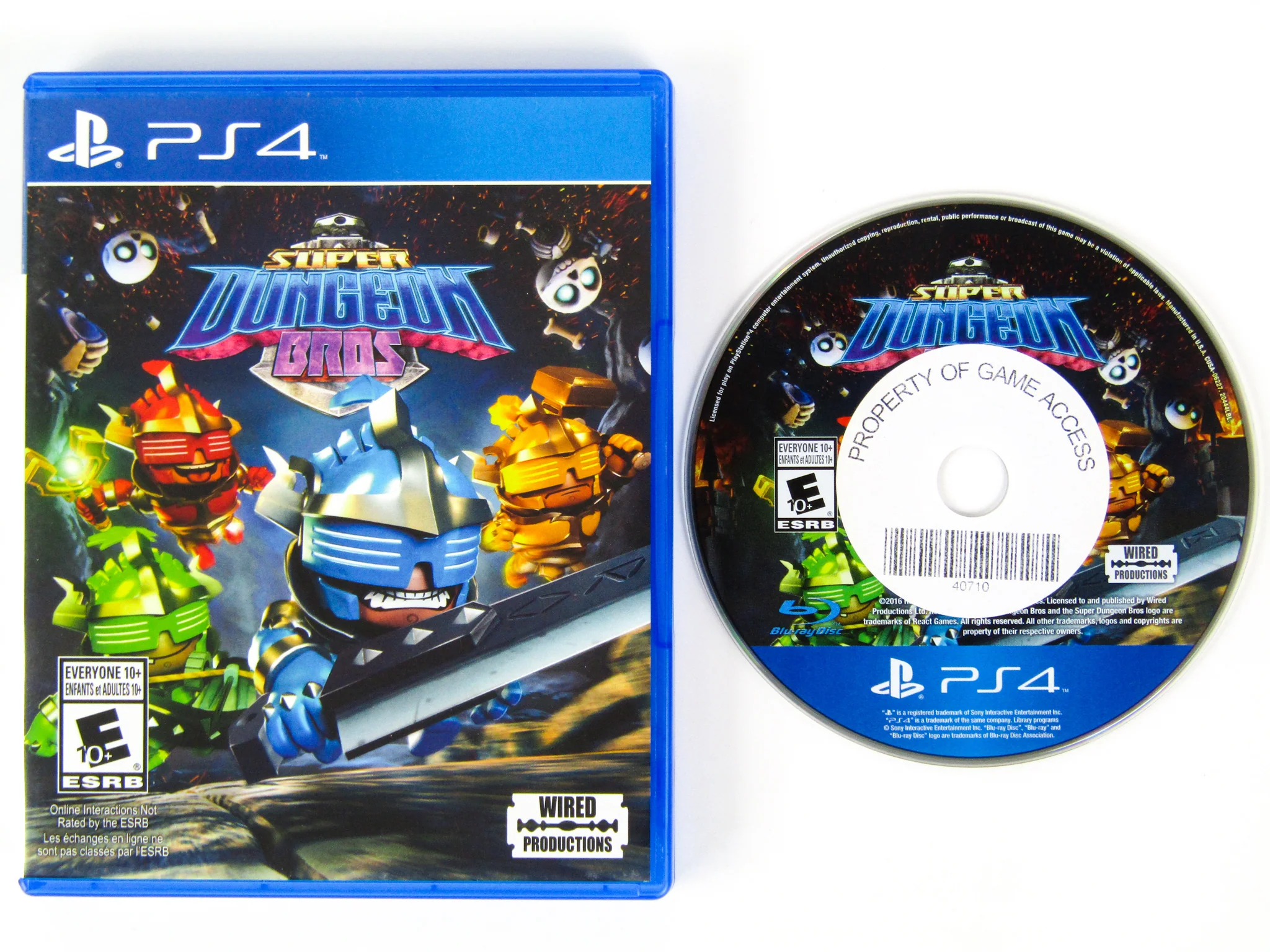 Super Dungeon Bros (PlayStation 4 / PS4) - Image 2