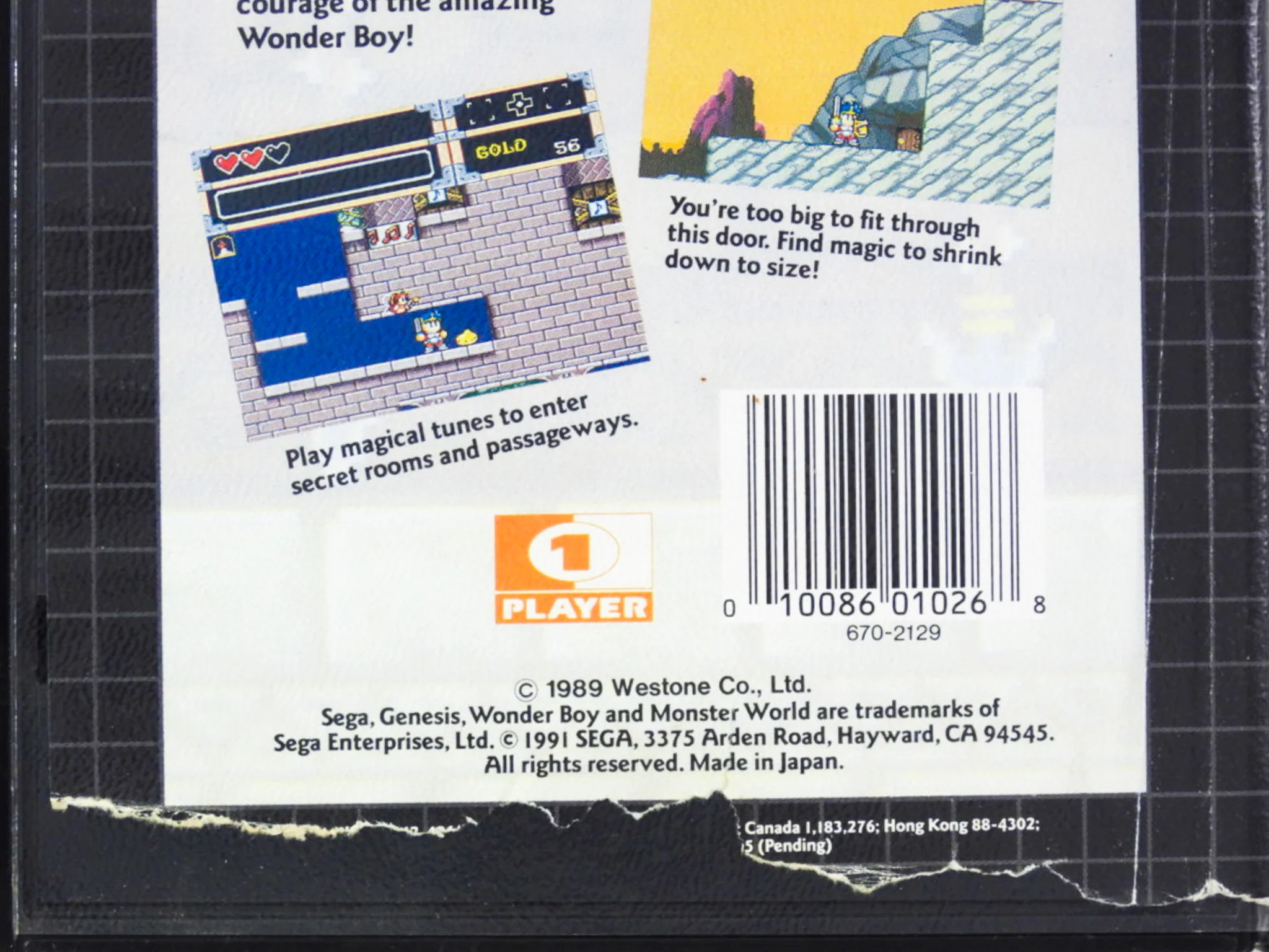 Wonder Boy In Monster World (Sega Genesis) - Image 4